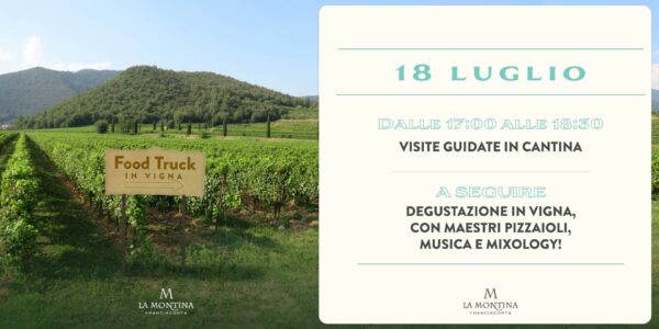 degustazioni vigneto la montina Franciacorta