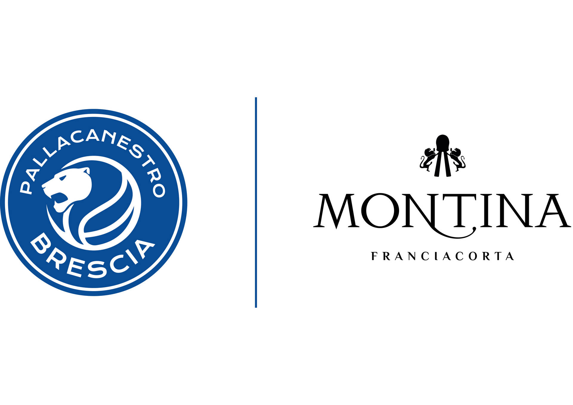 sponsor pallacanestro brescia montina franciacorta