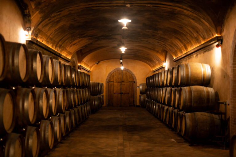 visita cantina franciacorta montina