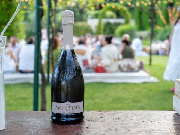 FESTIVAL FRANCIACORTA IN CANTINA 2024 MONTINA FESTIVAL FRANCIACORTA IN CANTINA 2024 MONTINA