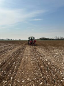 Impianto nuovo vigneto montina gussago 2025