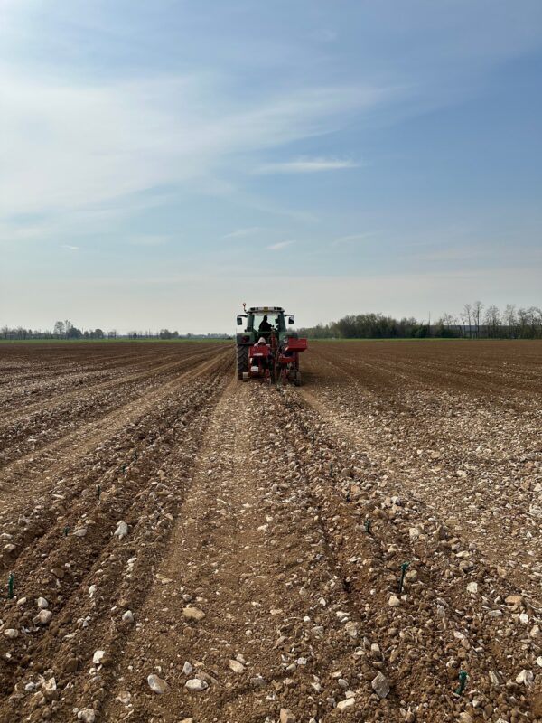 Impianto nuovo vigneto montina gussago 2025 Impianto nuovo vigneto montina gussago 2025