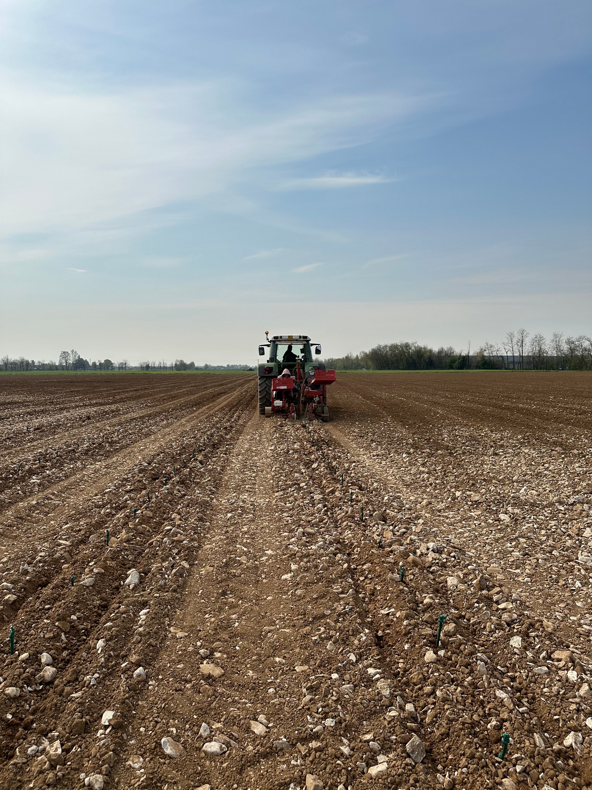 Impianto nuovo vigneto montina gussago 2025