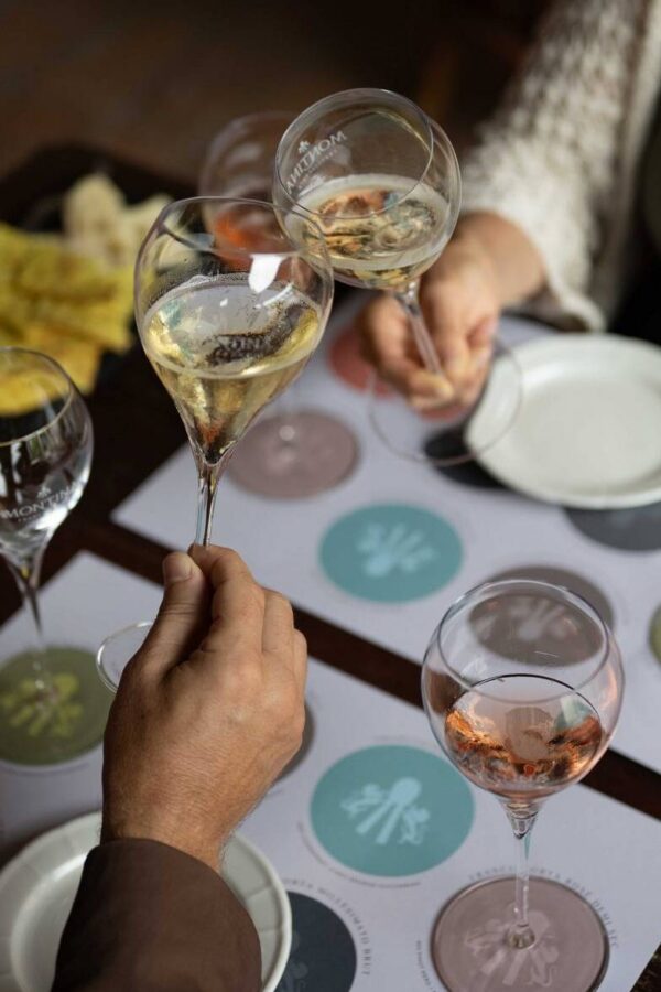 degustazione franciacorta in cantina montina monticelli brusati brescia degustazione franciacorta in cantina montina monticelli brusati brescia