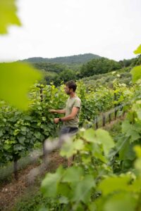 one day trip from milano cortina - franciacorta montina tour and tasting