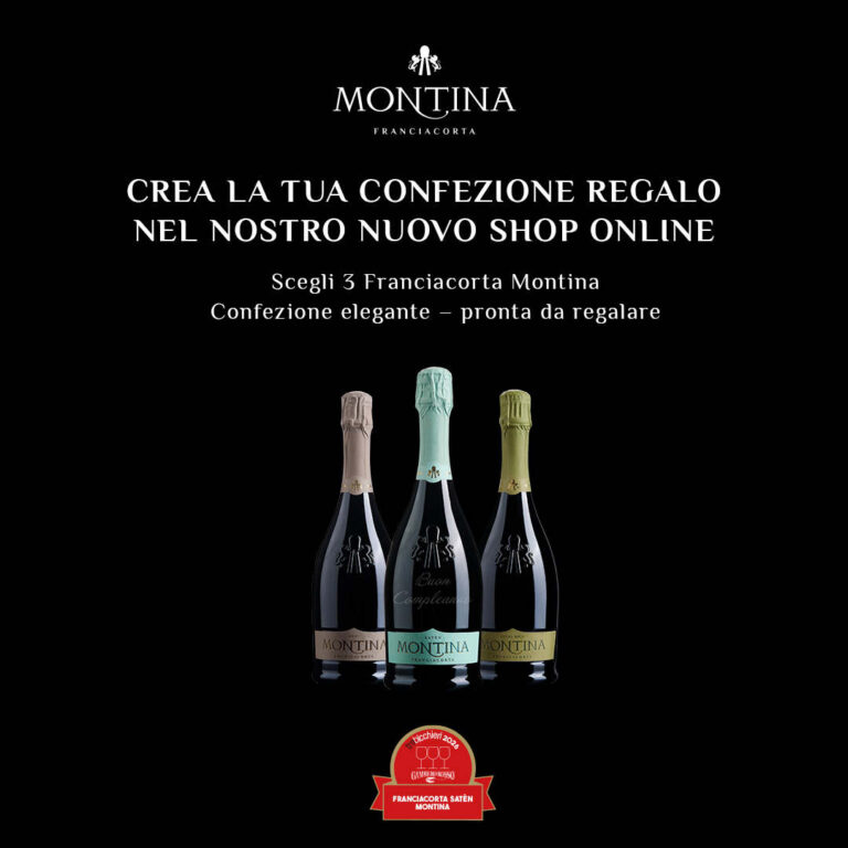 acquistare franciacorta confezioni miste montina franciacorta