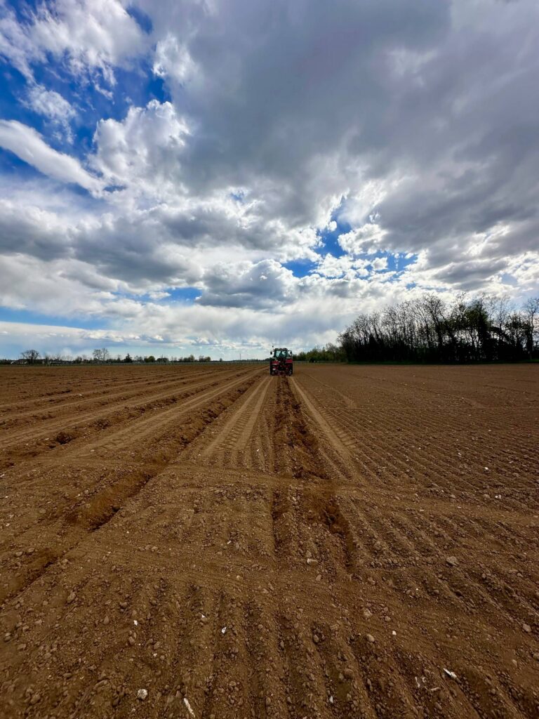 impianto vigneto franciacorta