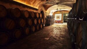 montina orizzonti internazionali