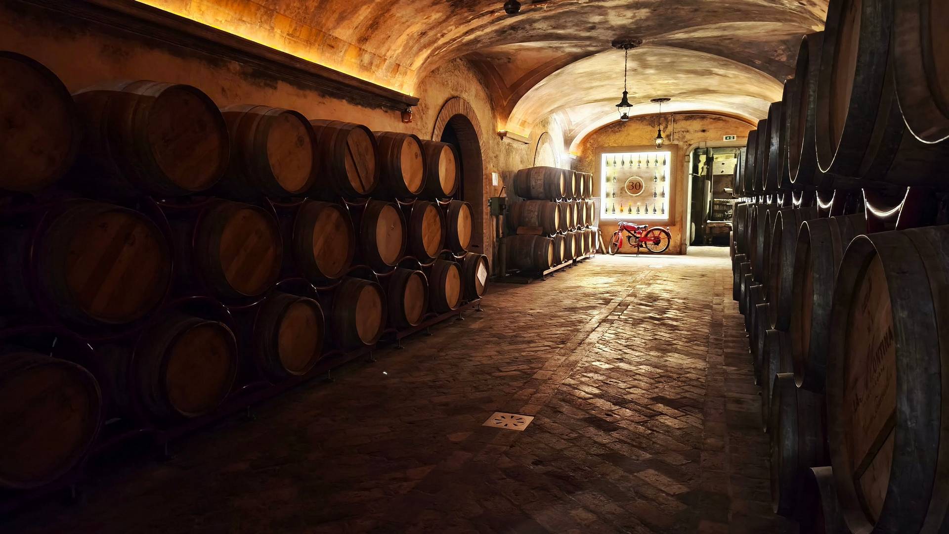 montina orizzonti internazionali