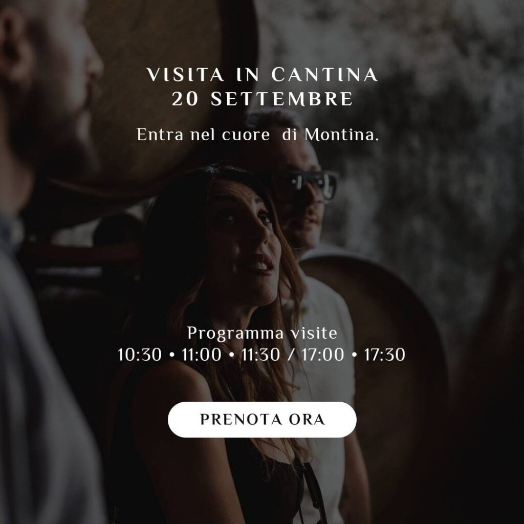festival cantina 2026 eventi domenica 20 settembre