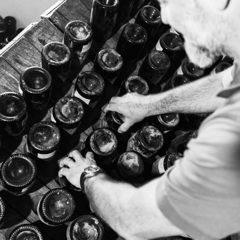 regala esperienza di visita cantina in franciacorta da montina a monticelli brusati bs