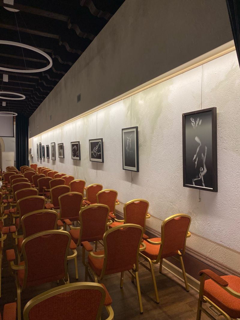 mostra montina galletti ottobre - novembre 2026