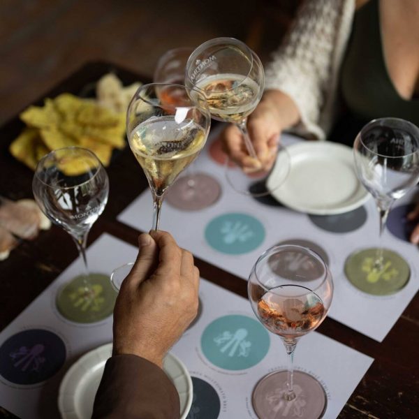 degustazione franciacorta in cantina montina monticelli brusati brescia