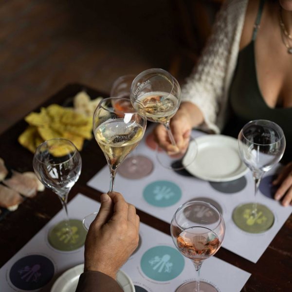 degustazione franciacorta in cantina montina monticelli brusati brescia
