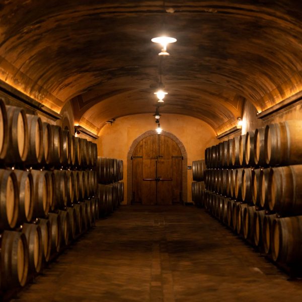 visita cantina franciacorta montina